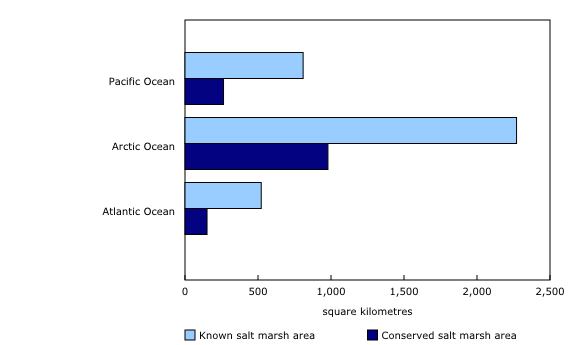 Chart 1: Extent of salt marsh area and conserved area