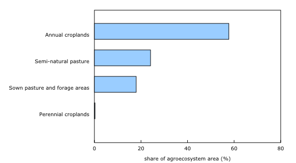 Chart 1: Share of agroecosystem area, by type, 2021