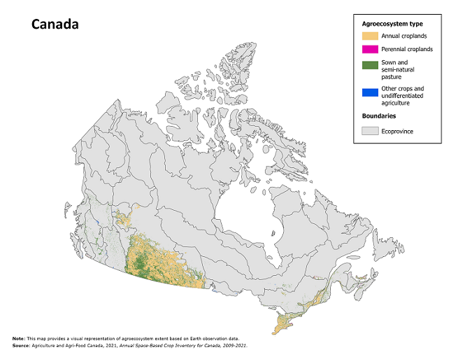 Thumbnail for map 1: Canadian agroecosystem extent, by agroecosystem type, 2021, based on Earth observation data