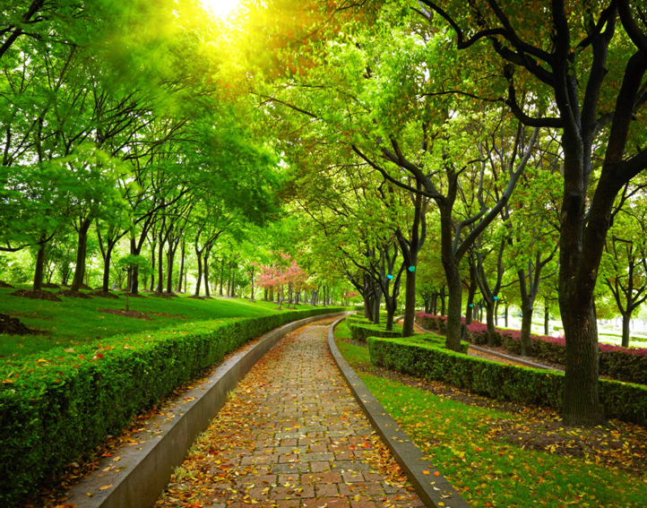 Photo of a stone walkway, with lush green grass,  hedges and trees on either side