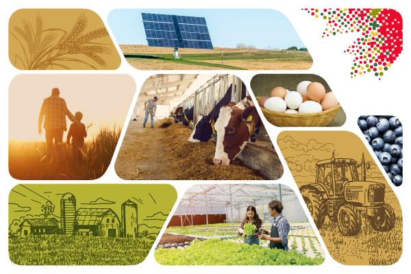 Census of Agriculture: Changes to the questionnaire, 2026 