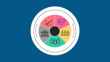 Quality of Life Hub 