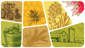 Census of Agriculture Toolkit 