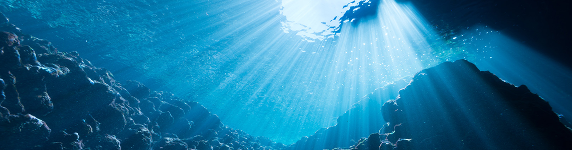 Census of Environment: The value of selected ocean and coastal ecosystem services, 2023 