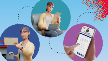 About the census 