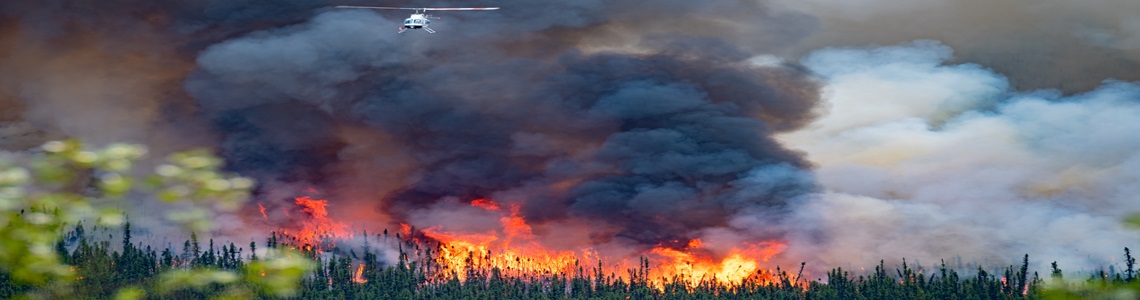 Census of Environment: Wildfire experiences among Indigenous Peoples, 2021 to 2024 