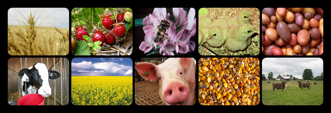 Overview of the Census of Agriculture 