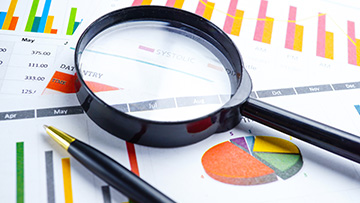 Results and documentation of surveys and statistical programs 